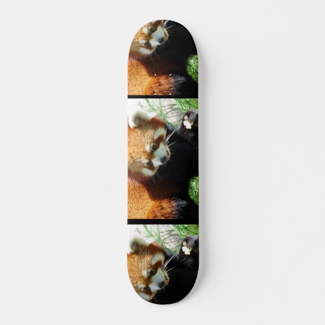 Gullig röd PandabjörnSkateboard Skateboard Bräda 20,5 Cm (Framsida)