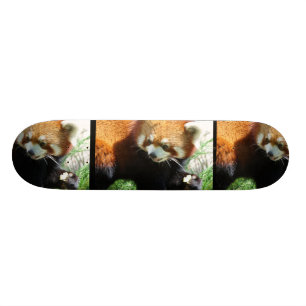 Gullig röd PandabjörnSkateboard Skateboard Bräda 20,5 Cm