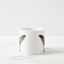 Gullig rolig lite miniatyrhund