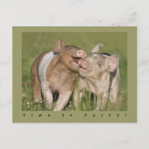 Gullig rolig Pigletsfödelsedagsfest Inbjudningar