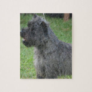Gullig röseTerrier Pussel