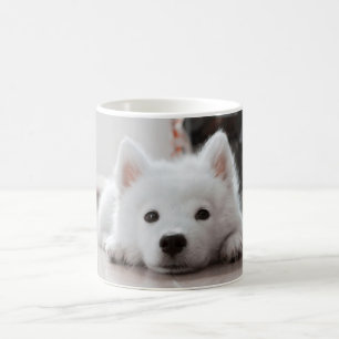 Gullig samoyedvalp kaffemugg