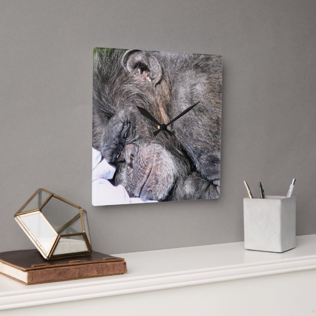 GULLIG SCHIMPANS FYRKANTIG KLOCKA (Kontor)