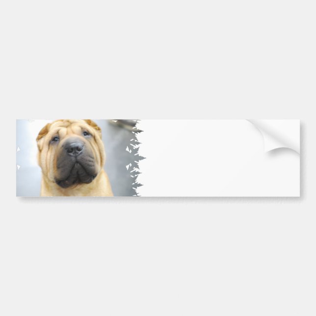Gullig Shar Pei bildekal (Framsidan)