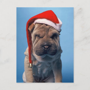 Gullig Shar Pei valp med julhatten Helg Vykort