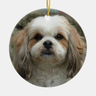 Gullig Shih Tzu julprydnad Julgransprydnad Keramik