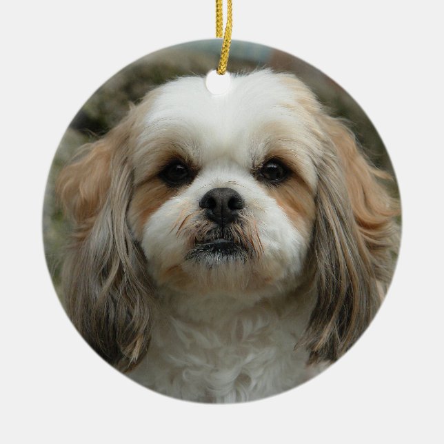 Gullig Shih Tzu julprydnad Julgransprydnad Keramik (Framsidan)