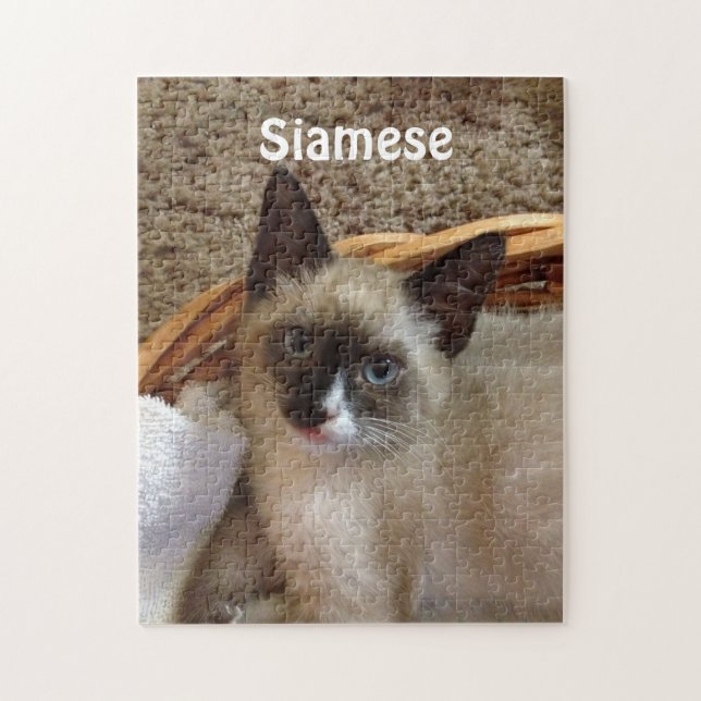 Gullig Siamese katt Pussel (Vertikal)