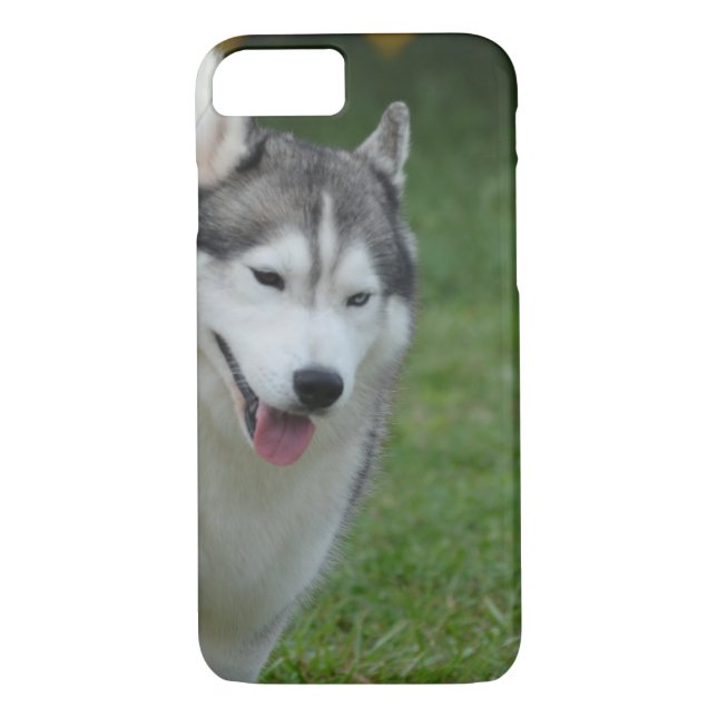 Gullig siberian husky Case-Mate iPhone skal (Baksida)