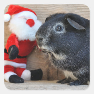 Gullig silverrävförsökskanin och jultomten fyrkantigt klistermärke