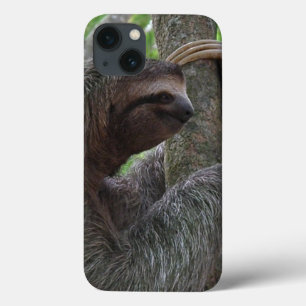 Gullig Sloth