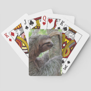 Gullig Sloth Casinokort