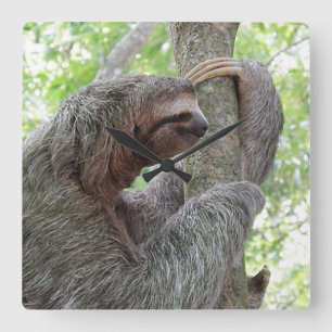 Gullig Sloth Fyrkantig Klocka