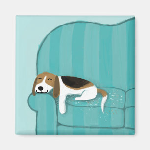 Gullig sova Beaglehund hemma på soffan Magnet