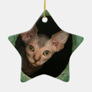 Gullig sphynxkattunge julgransprydnad keramik