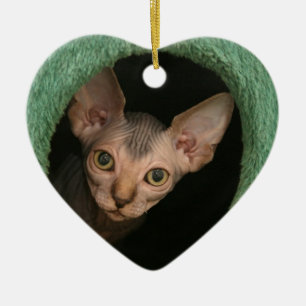 Gullig sphynxkattunge julgransprydnad keramik