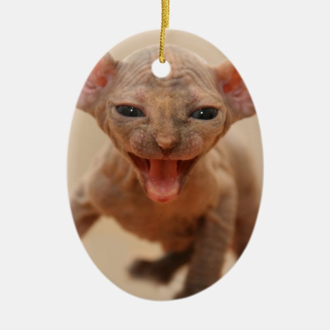 Gullig sphynxkattunge med tungan ut julgransprydnad keramik (Framsidan)