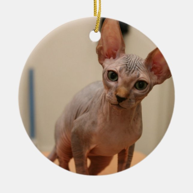 Gullig sphynxkattunge "mig furless förmiddag, är julgransprydnad keramik (Framsidan)