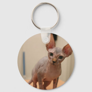 Gullig sphynxkattunge "mig furless förmiddag, är nyckelring