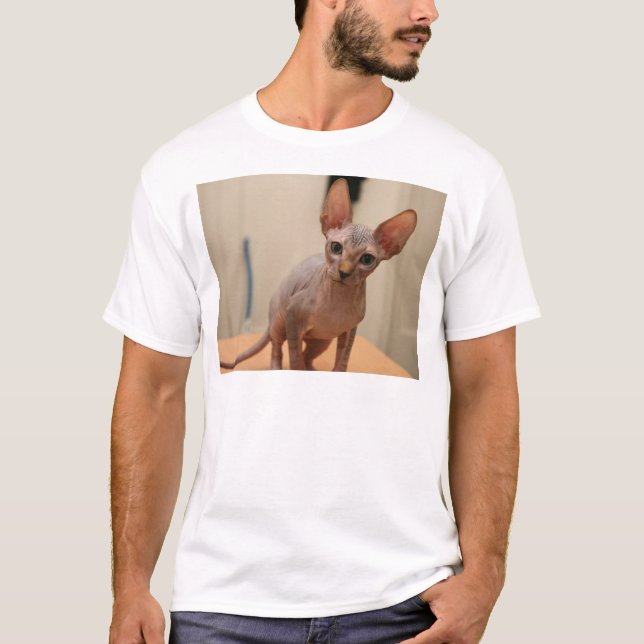 Gullig sphynxkattunge "mig furless förmiddag, är t-shirt (Framsida)