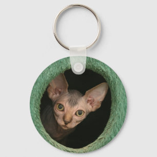 Gullig sphynxkattunge nyckelring