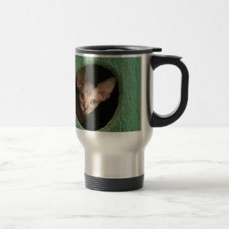 Gullig sphynxkattunge resemugg