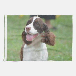 Gullig SpringerSpaniel Kökshandduk