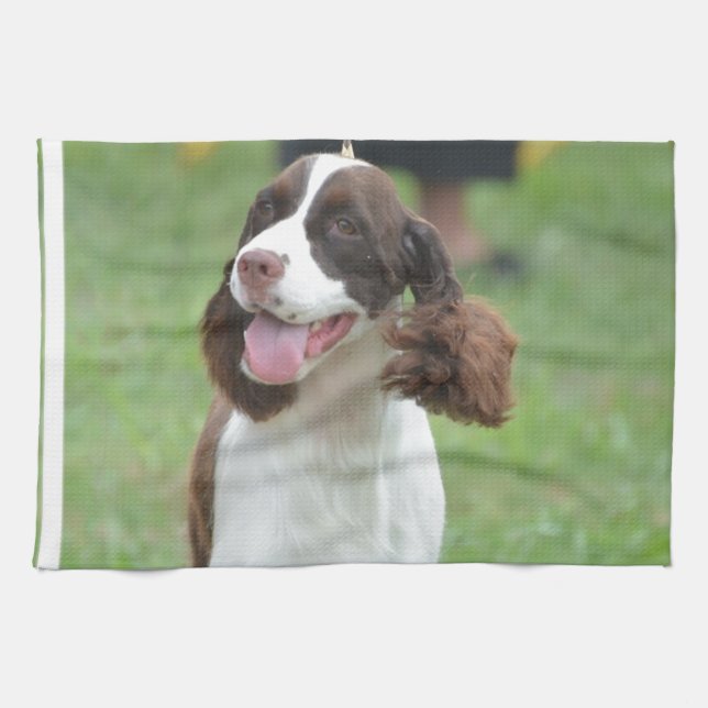 Gullig SpringerSpaniel Kökshandduk (Horisontell)