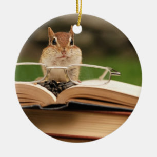 Gullig Studious jordekorre Julgransprydnad Keramik