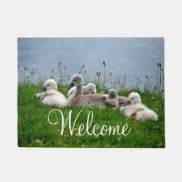 Gullig svanbabyvälkomnande
