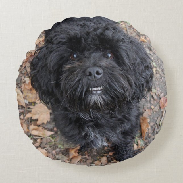 Gullig svart hund rund kudde (Framsidan)