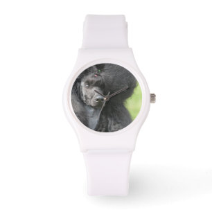 Gullig svart pudel armbandsur