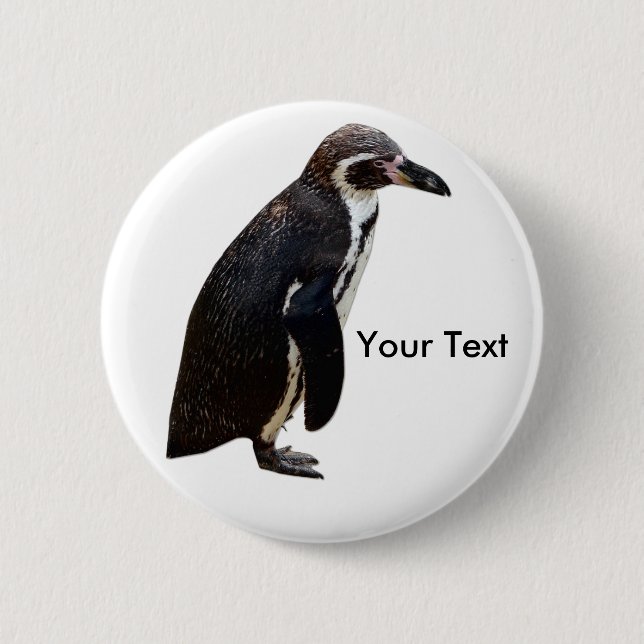 Gullig svartvit Humboldt pingvinnamn bricka Knapp (Framsida)