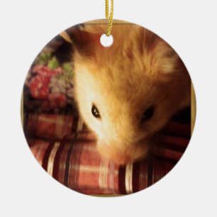 Gullig syriansk Hamster Julgransprydnad Keramik