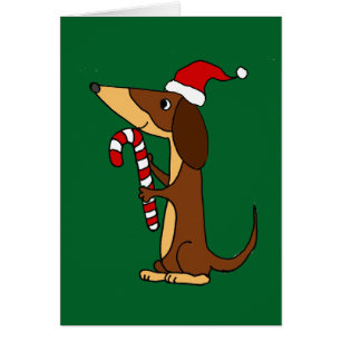 Gullig taxhund i tecknad för Santa hattjul Hälsningskort