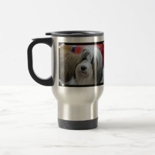 Gullig tibetan Terrierhund Resemugg