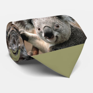 Gullig Tie för Koalabjörnfoto (grön bakgrund) Slips