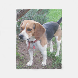 Gullig ung Beagleullfilt Fleecefilt