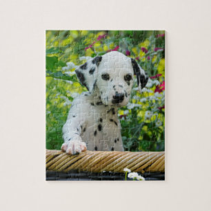 Gullig ung Dalmatian hundvalplek 8x10 Pussel