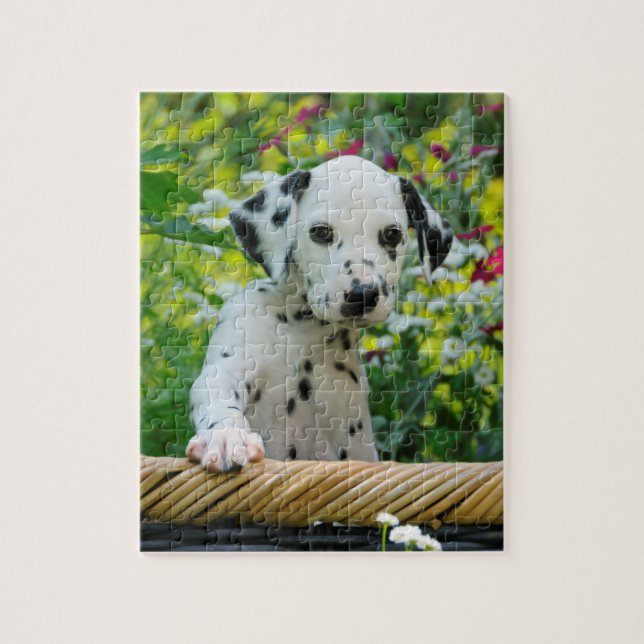Gullig ung Dalmatian hundvalplek 8x10 Pussel (Vertikal)
