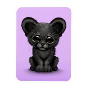 Gullig unge för babysvartpanter på lilor magnet