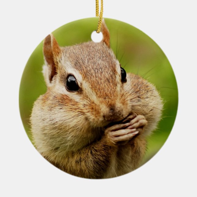 Gullig uppnosig jordekorre julgransprydnad keramik (Framsidan)