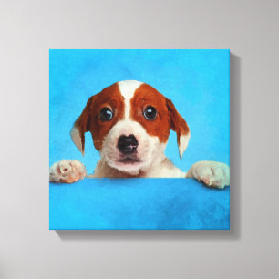 Gullig valp för jackRussell Terrier Canvastryck
