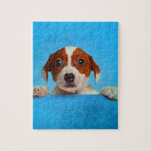 Gullig valp för jackRussell Terrier Pussel