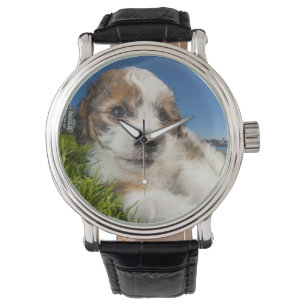Gullig valphund (Shitzu) Armbandsur