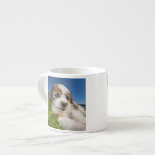 Gullig valphund (Shitzu) Espressomugg