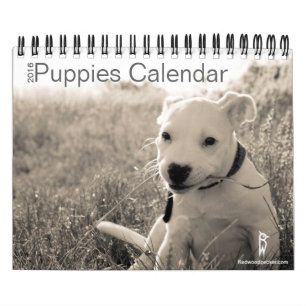 Gullig valpkalender 2016 kalender