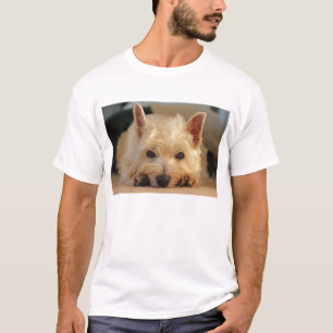 Gullig västra höglands- Terrierhund tröja