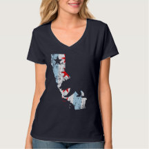 Gullig vintageKalifornien Chicago Mashup flagga