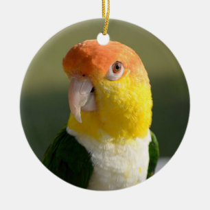 Gullig vit buktad Caiquepapegoja Julgransprydnad Keramik